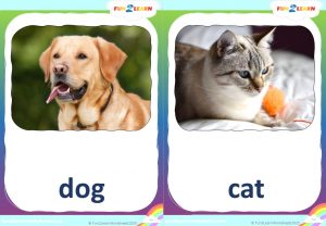 What Do You Hear Flashcards