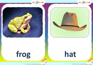What's This What's That Flashcards