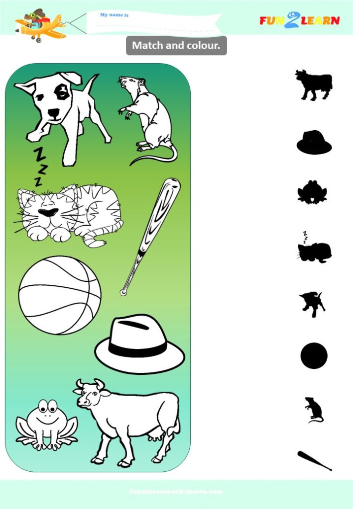 What's This What's That Worksheet