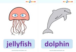 under the sea 3 flashcards