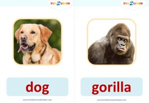 wag your tail flashcards