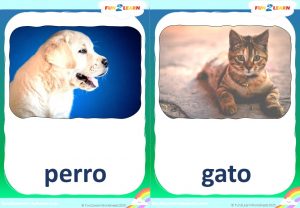 tengo una mascota flashcards