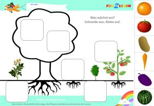 german fruits and vegetables worksheet