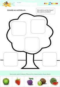 german fruits worksheet