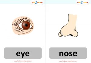head shoulders knees and toes free flashcards
