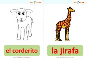 María Tenía Un Canguro flashcards