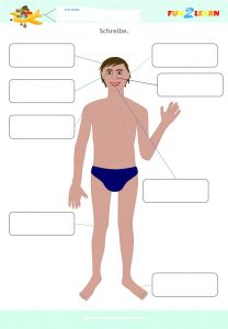 german body parts worksheet