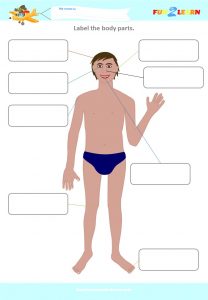head shoulders knees and toes efl worksheet