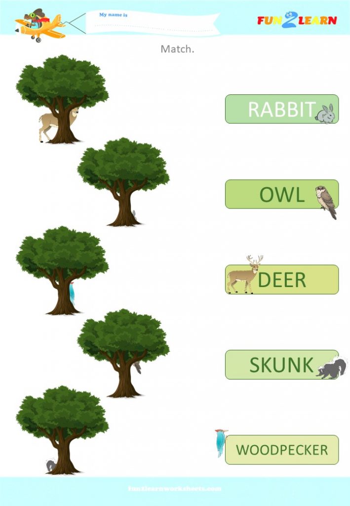 walking in the forest matching worksheet