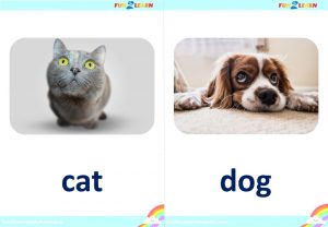 favorites song flashcards