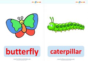 bugs song flashcards