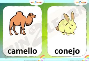 Vamos Animales spanish flashcards