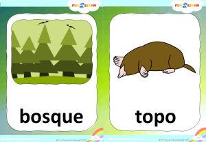 animals flashcards Steve and Maggie Español