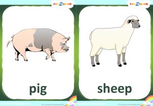 who took cookie farm animals flashcards