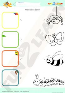 bugs and insects song worksheet