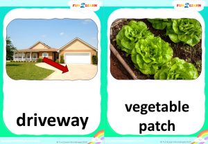 steve maggie garden flashcards
