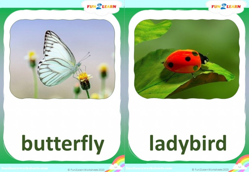 animal finger family steve maggie flashcards