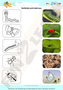 Tiere Finger Familie Steve and Maggie Deutsch worksheet