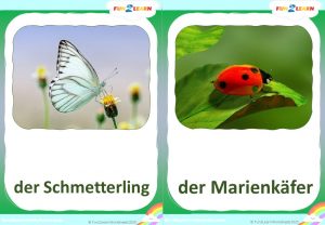 Tiere Finger Familie Steve and Maggie Deutsch flashcards