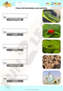 Steve and Maggie Deutsch free worksheet bugs