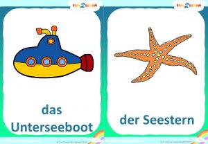 Steve and Maggie Deutsch sea animals free flashcards