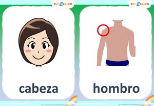Cabeza Hombros Rodillas Y Pies free flashcards