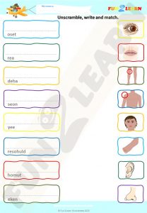 head shoulders knees toes worksheet