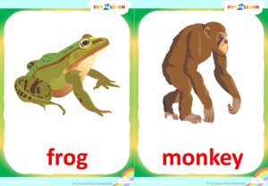 walking in the jungle free flashcards
