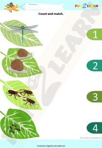 bugs song matt worksheet