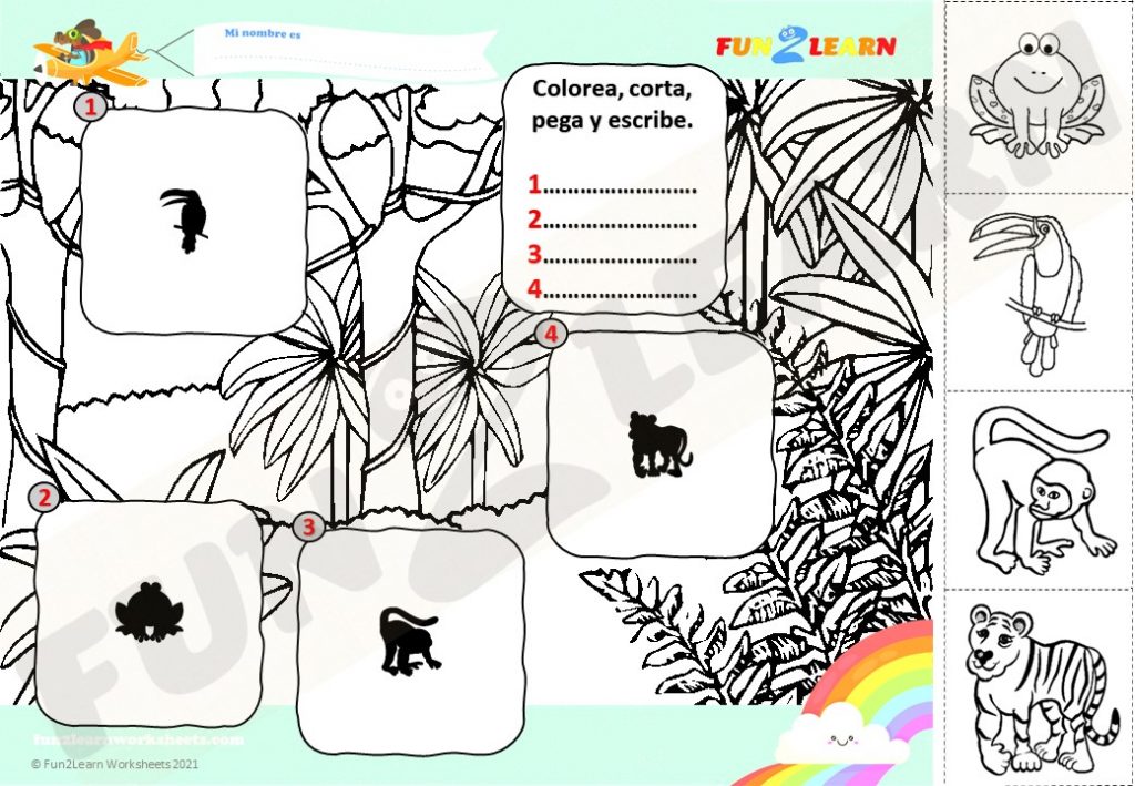 selva super simple worksheet