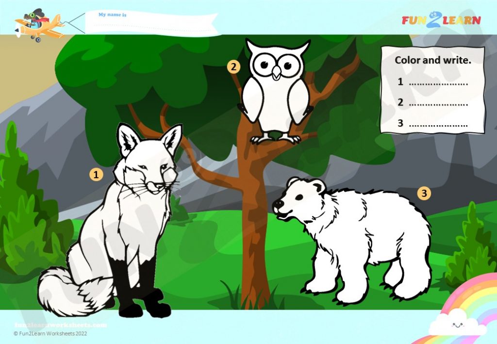 free worksheet walk in the woods