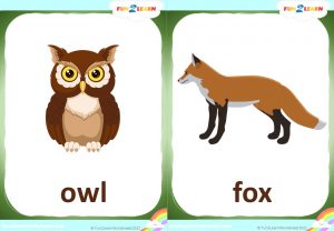 walk in the woods free flashcards