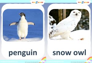 free winter animals flashcards