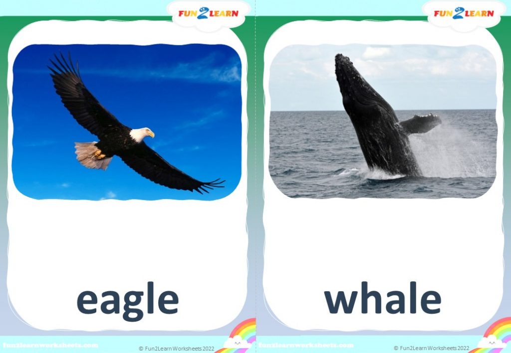 free steve and maggie cartoon flashcards