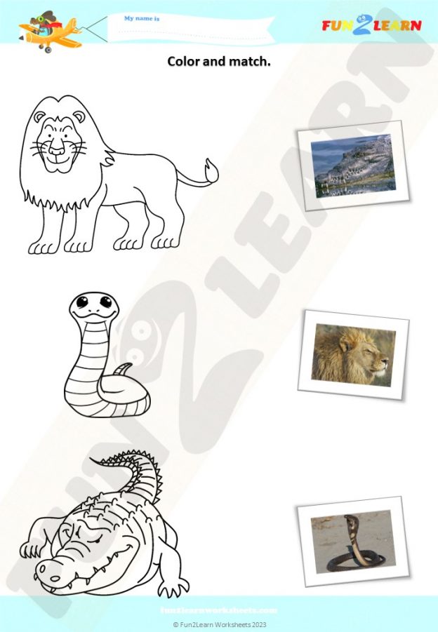Walk In The Jungle with Matt | Free Worksheet - Fun2Learn