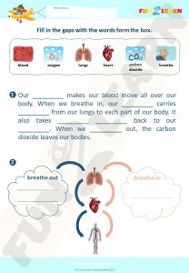 how to feel your heartbeat free worksheet