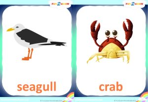 free sea animals cocomelon flashcards