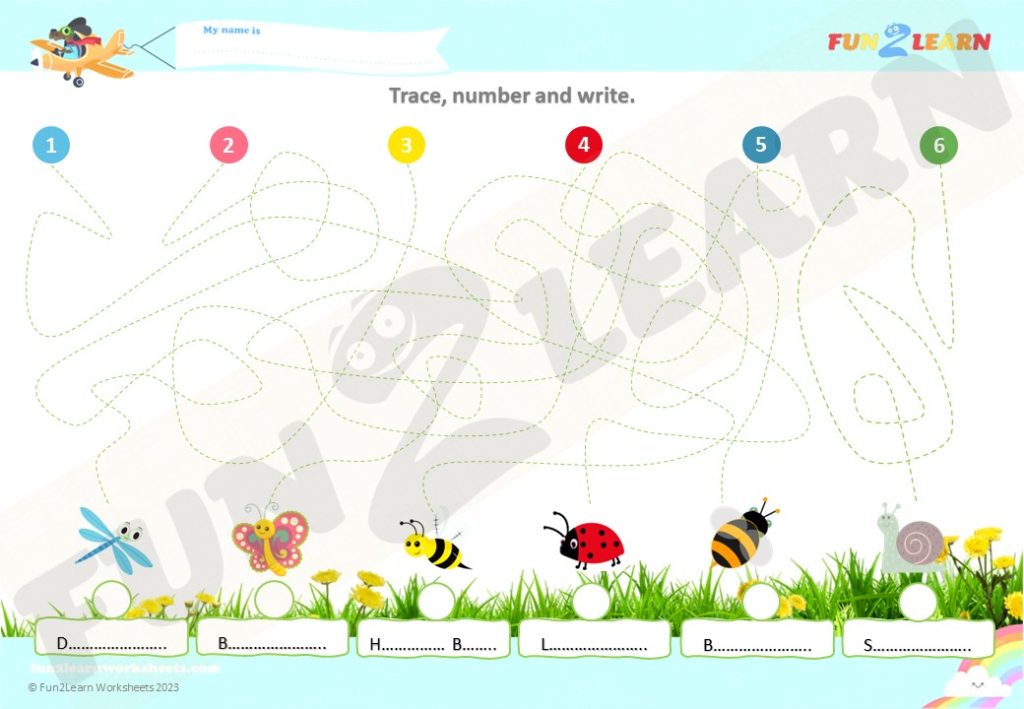 free bugs worksheet steve maggie